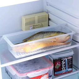 冰箱收纳是门大学问 各种功能收纳盒你都了解吗？