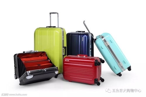 升学季箱约美丽包，启航梦想新篇章